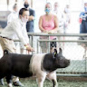 Meet your Posher, Liam